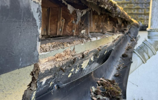 Close-up of rotting fascia board and blocked gutter before repair